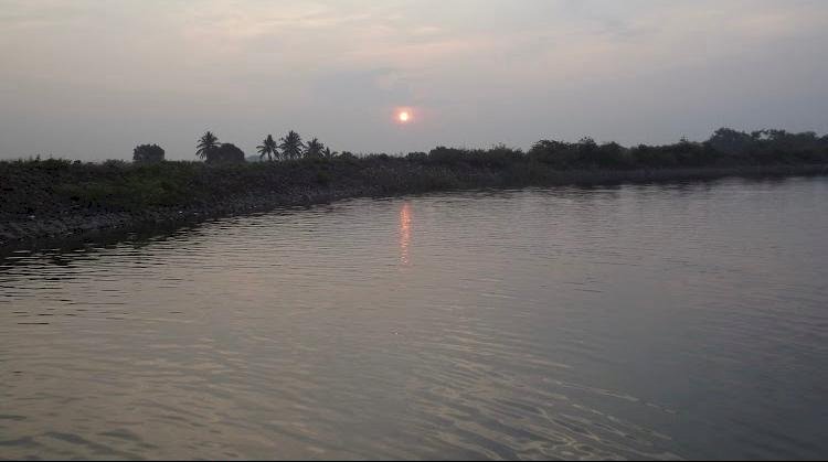 शिवप्रहार न्यूज- टाकळीभान टेलटॅंक परिसरात मासेमारीसाठी गेलेल्या रमेशचा बुडून मृत्यू...