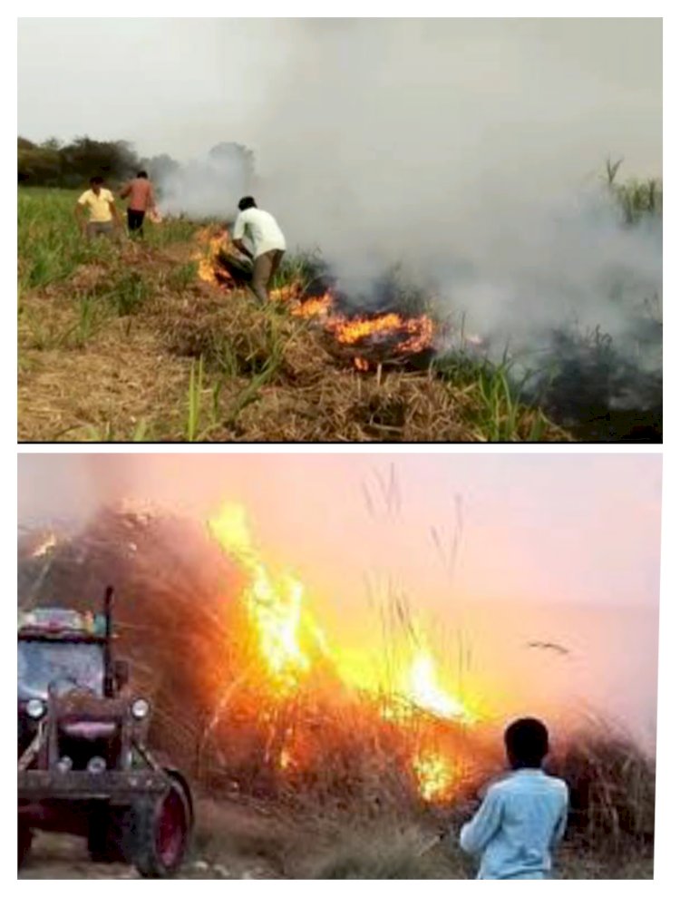 शिवप्रहार न्यूज- श्रीरामपूर तालुक्यात ऊसाच्या थळातील ३ बैलगाड्या जळून खाक…