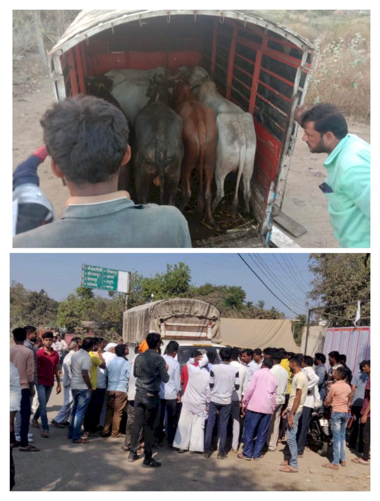 शिवप्रहार न्यूज - काल गाईंचे प्राण वाचवण्याचे काम केले शिवप्रहारच्या मावळ्यांनी अन् श्रेय घेण्याचे काम करतायेत श्रीरामपुरातील राजकीय नेत्याने पाळलेले बाजारबुणगे…