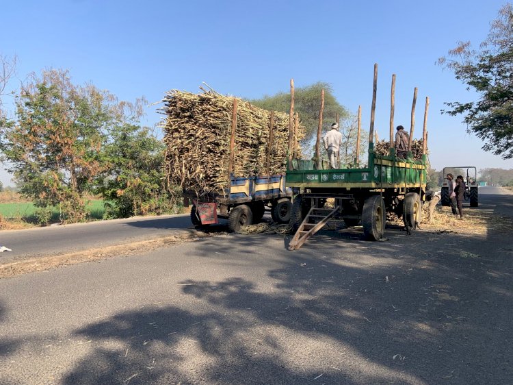 शिवप्रहार न्यूज - बेलापूर रोडवर उसाचा ट्रॅक्टर-ट्रॉली पलटी...