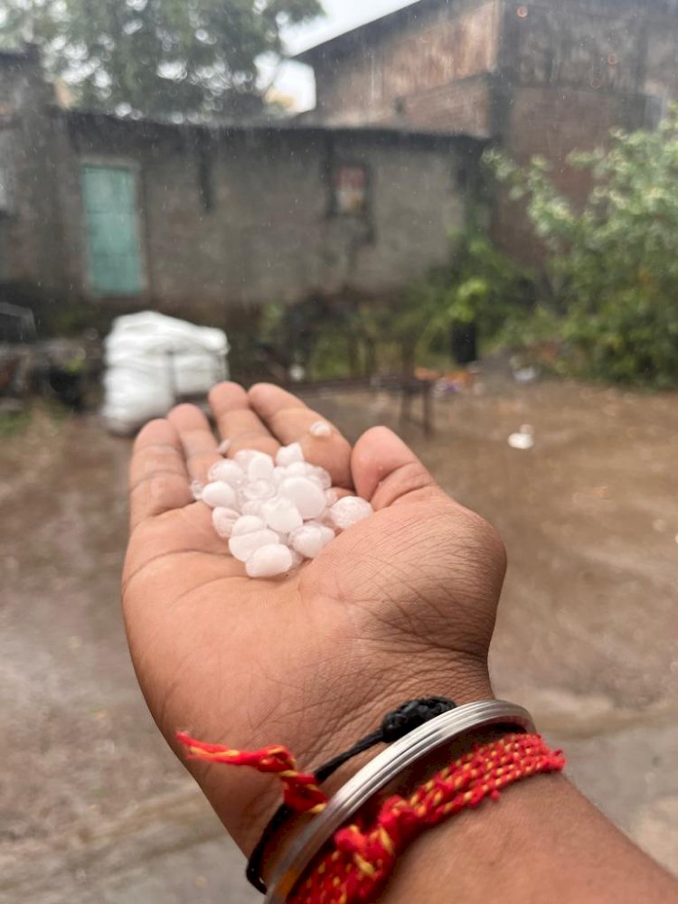 शिवप्रहार न्यूज - अवकाळी गारांचा पाऊस, वीज पडून शेतकरी व गाय ठार; शेती पिकांचे प्रचंड नुकसान