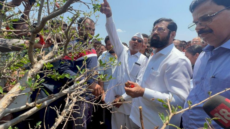 शिवप्रहार न्यूज - नुकसानग्रस्त शेतकऱ्यांना सात दिवसाच्या आत मदत करणार : मुख्यमंत्री एकनाथ शिंदे