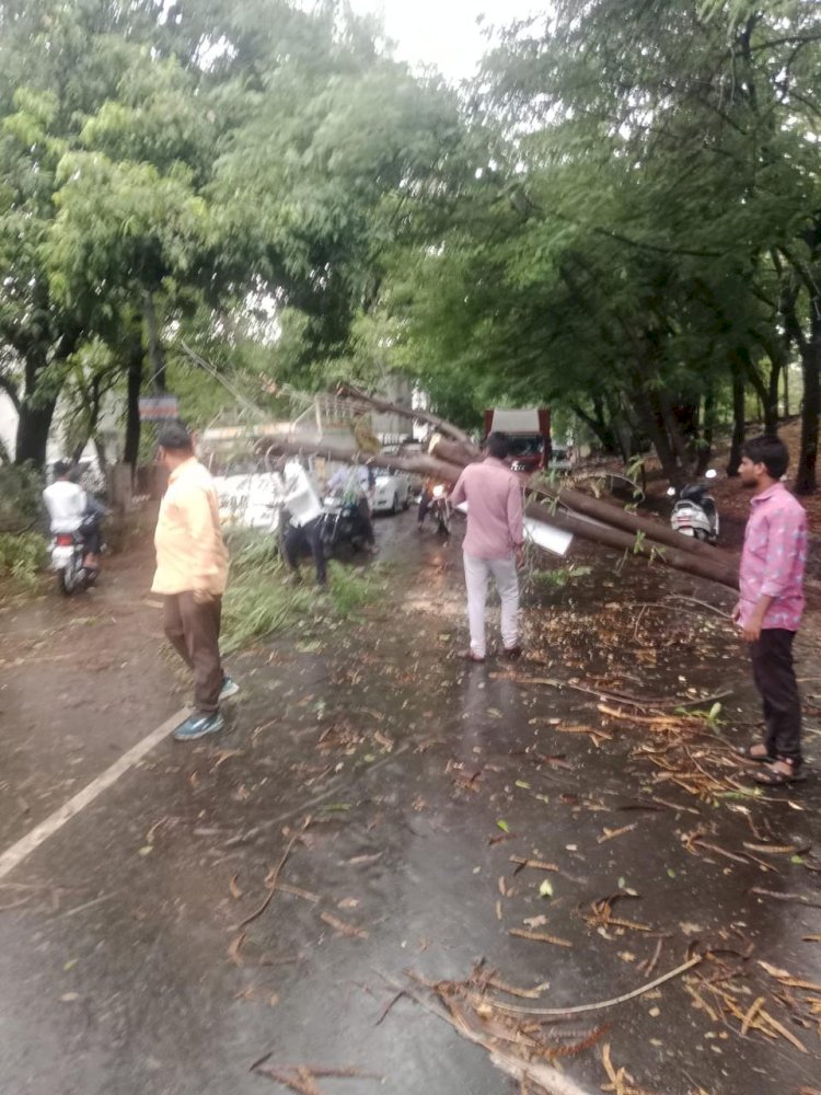 शिवप्रहार न्युज -  श्रीरामपुरात वादळी वाऱ्यासह पडला खुराट अवकाळी पाऊस...